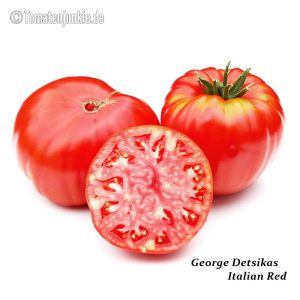 George Detsikas Italian Red