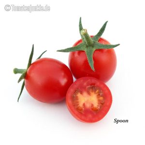 Spoon